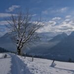 Navigation Systems and Wildlife Corridor Conservation